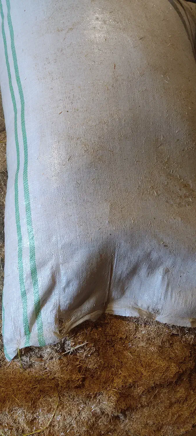 کیسه|عمدهفروشی|شهمیرزاد, |دیوار