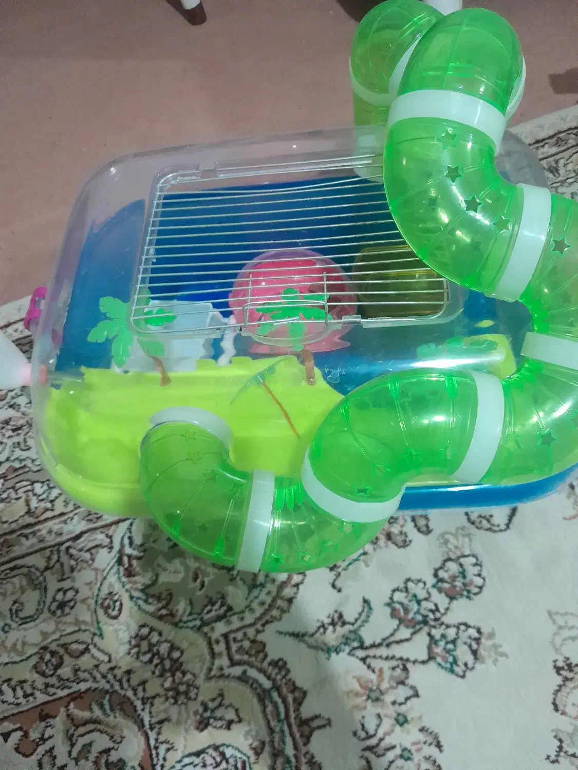 قفس جزیره همستر|موش و خرگوش|تبریز, |دیوار