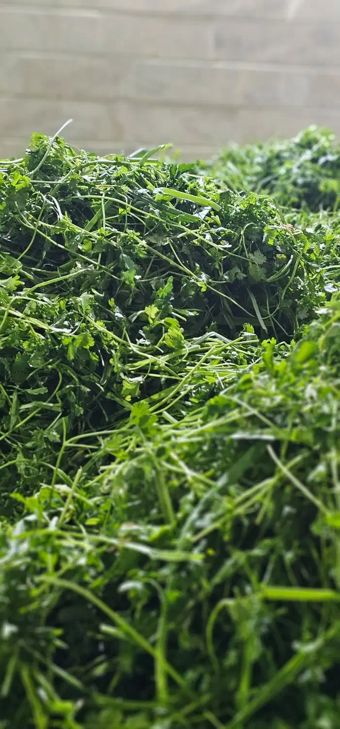 سبزی سبزیحات آماده مصرف بسته بندی فروشگاهی|خوردنی و آشامیدنی|تهران, افسریه جنوبی|دیوار