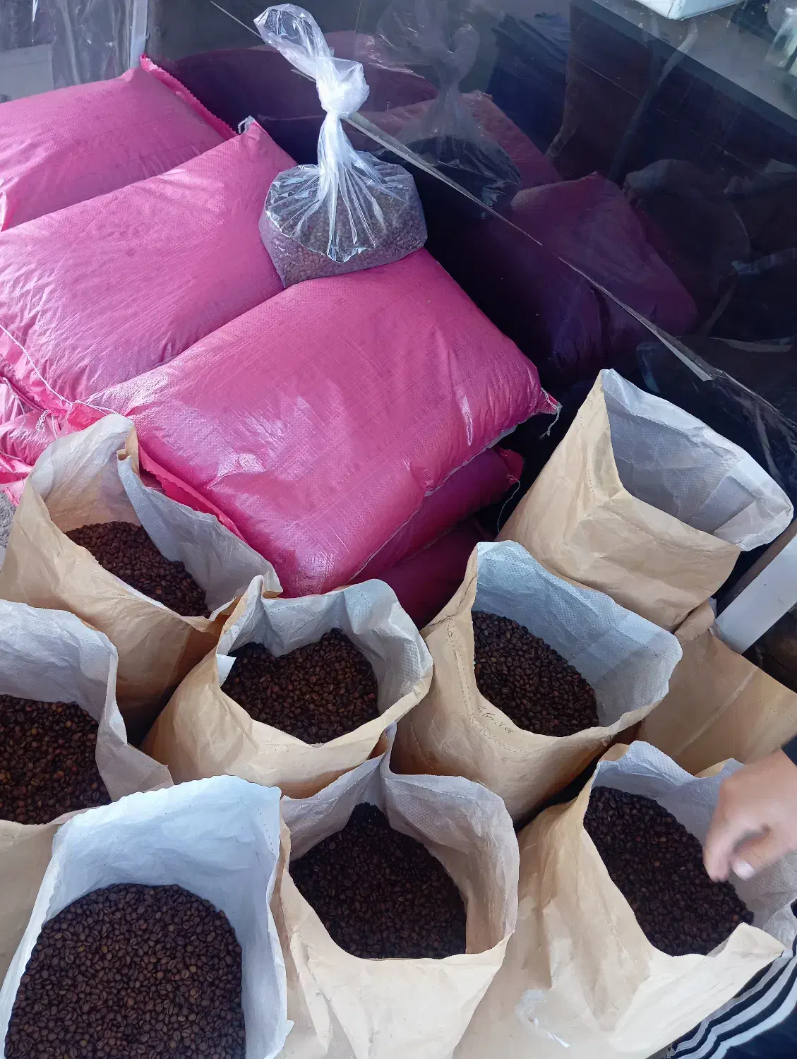 پخش قهوه|خوردنی و آشامیدنی|نیشابور, هفده شهریور|دیوار