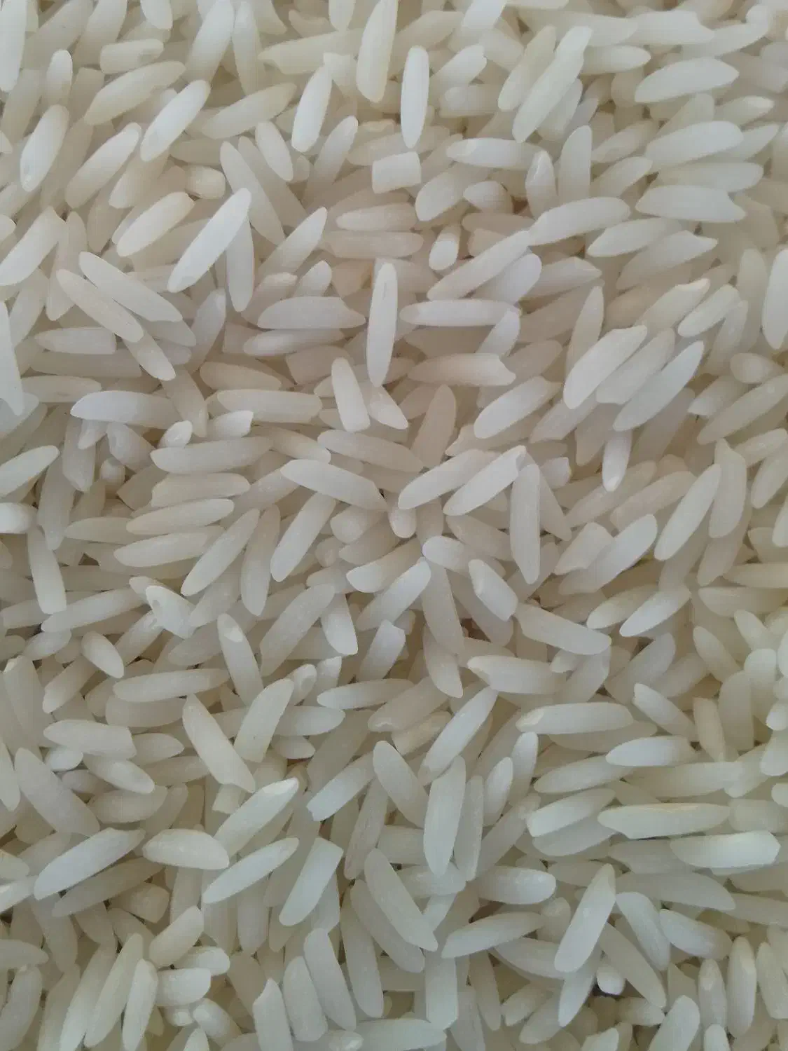 برنج هاشمی بشرط پخت درجه یک|خوردنی و آشامیدنی|رشت, حافظ آباد|دیوار