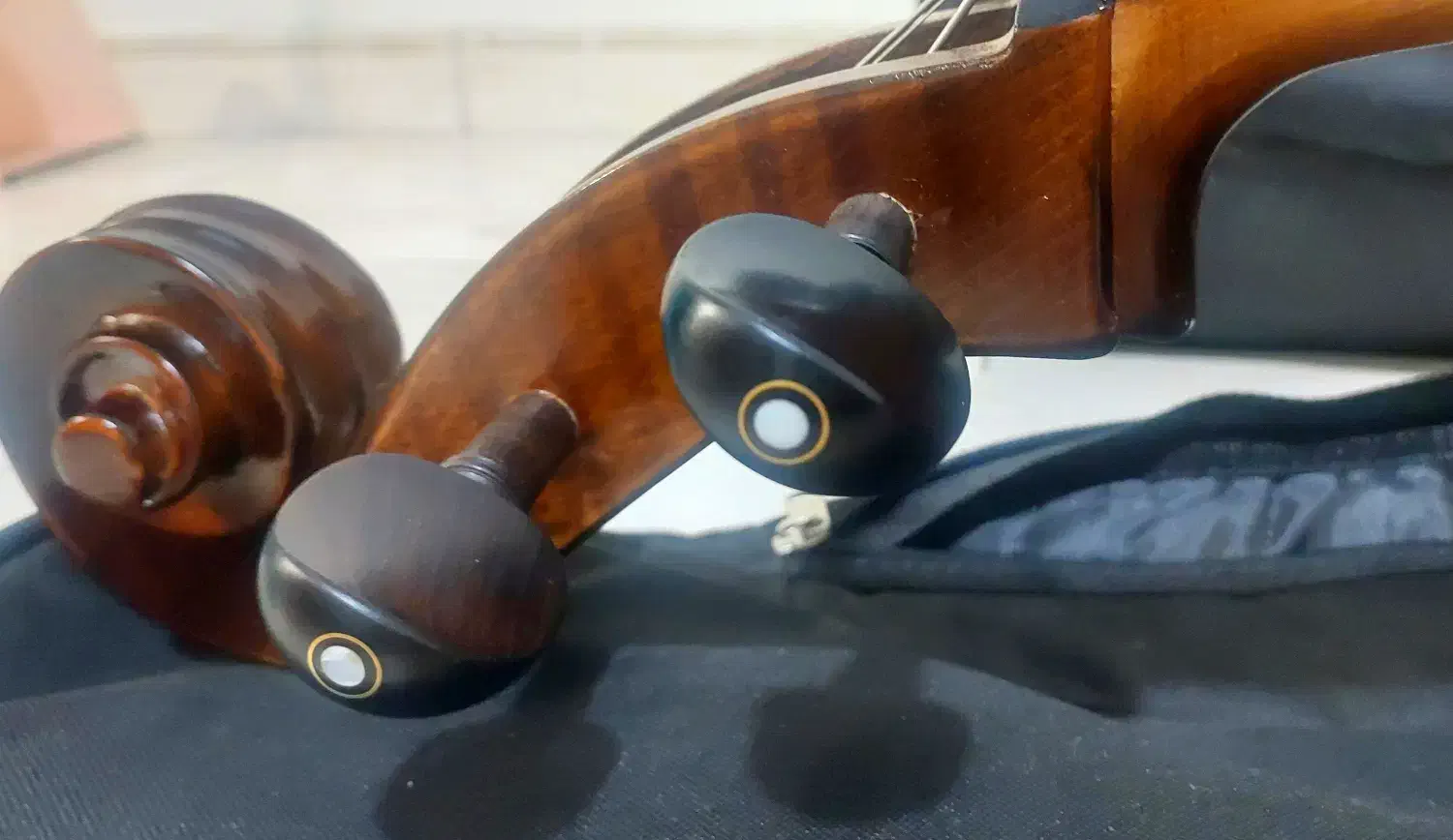 ویولنسل ۴/۴ ایستمن ۲۰۵ با متعلقات|ویولن|تهران, بریانک|دیوار