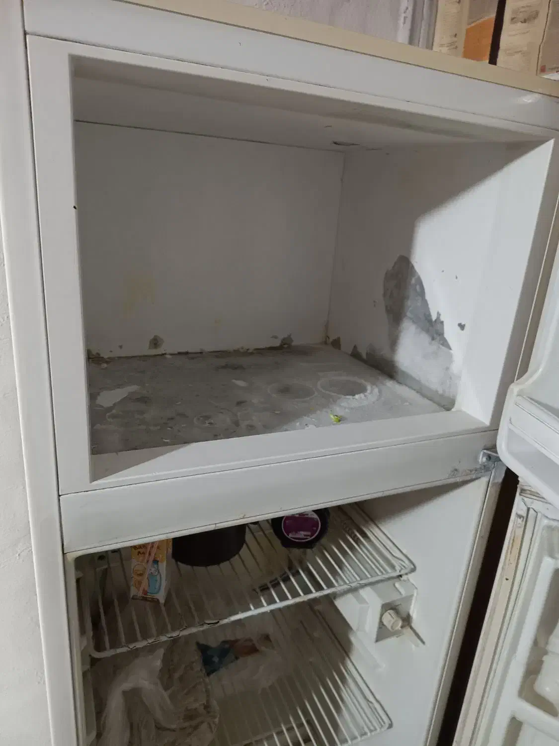 یخچال آزمایش|یخچال و فریزر|شیراز, شهرک مهدیآباد|دیوار