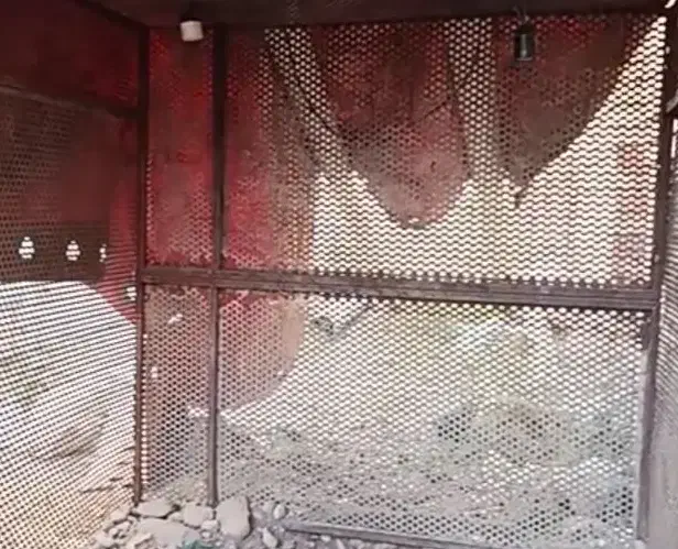 قفس  مقاوم عالی برای حیوانات اهلی و...|لوازم جانبی حیوانات|مرند, |دیوار