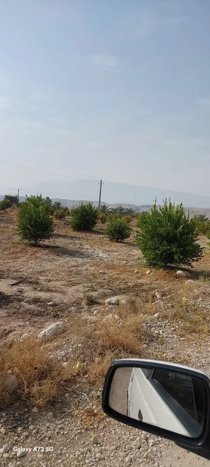 فروش باغ|فروش زمین و ملک کلنگی|بستک, |دیوار