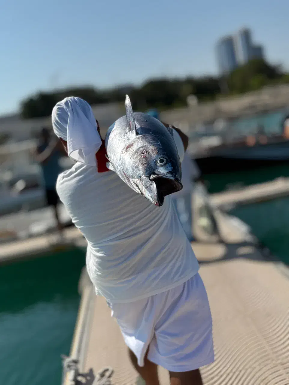 ماهیگیری حرفهای (کیش)|ماهیگیری|کیش, |دیوار