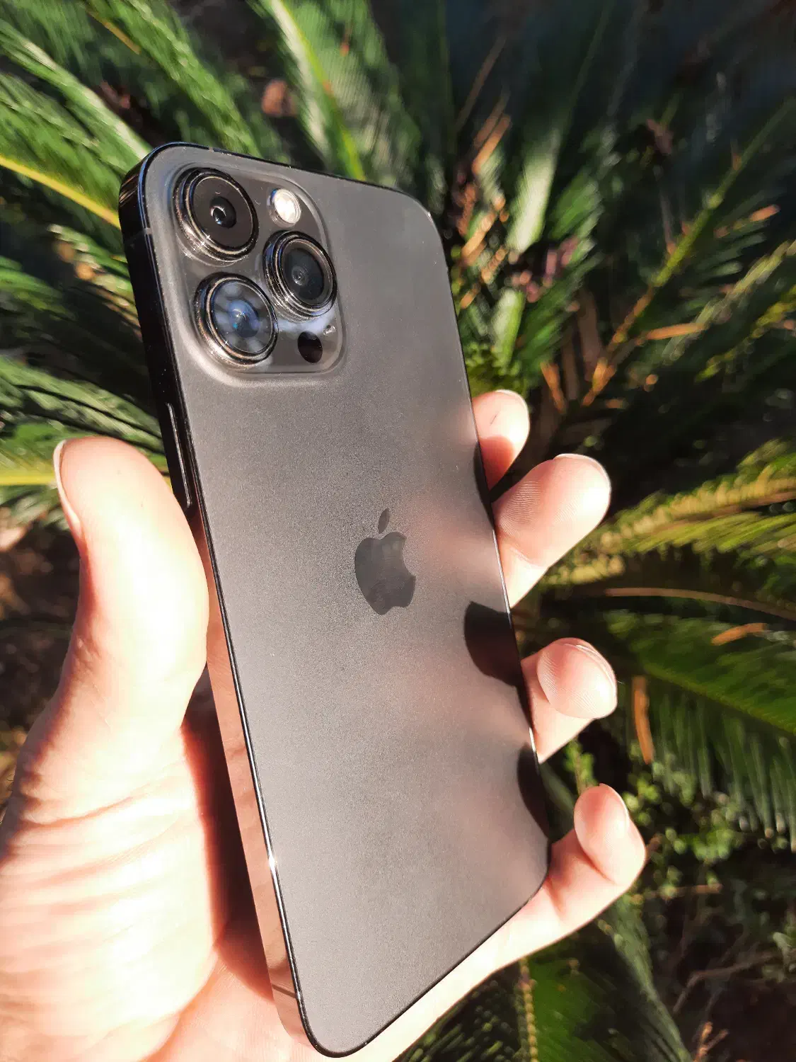 آیفون ۱۳ پرومکس|موبایل|تنکابن, |دیوار