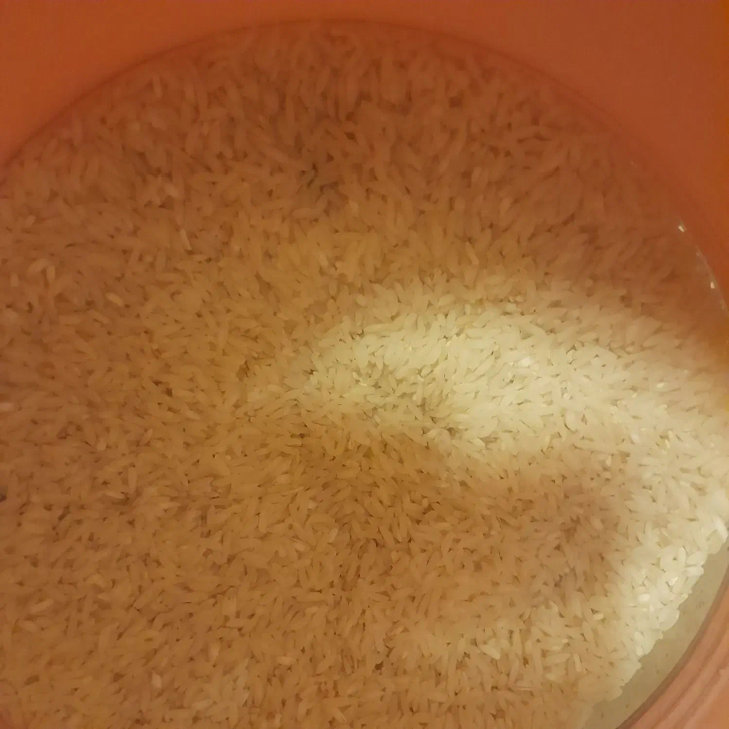 کشت دوم برنج هاشمی۱۵۰کیلوگرم|خوردنی و آشامیدنی|قائمشهر, |دیوار