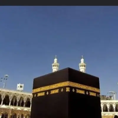فیش حج|تور و چارتر|گرگان, |دیوار