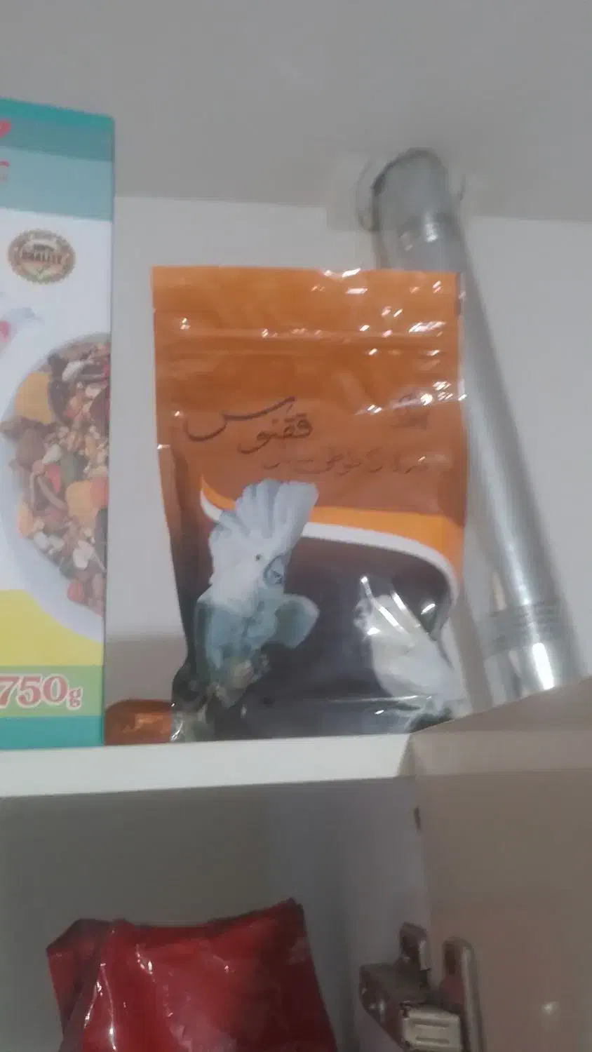 انواع خوراک پرنده بصورت بسته و فله موجوده|لوازم جانبی حیوانات|سیستان, |دیوار