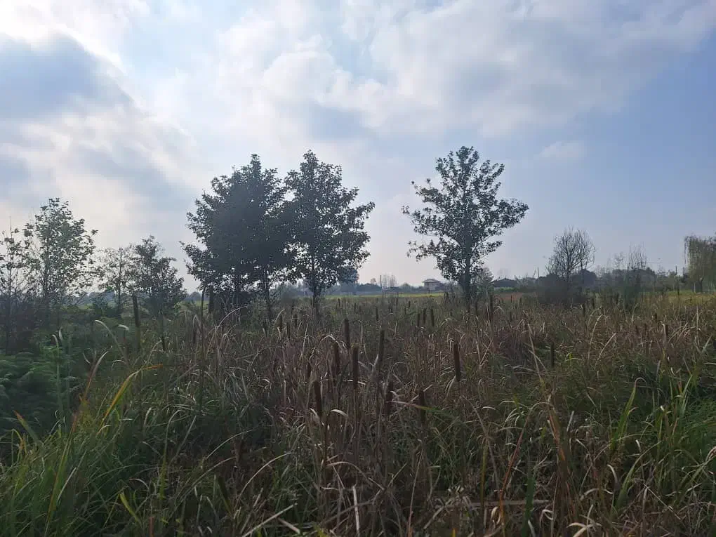 زمین 500متر مسکونی دار|فروش زمین و ملک کلنگی|رشت, سلیمانداراب|دیوار