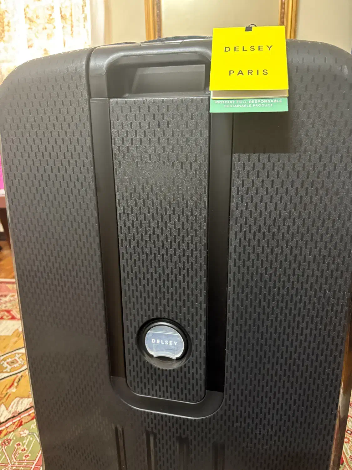 چمدان دلسی|کیف، کفش، کمربند|تهران, کرمان|دیوار