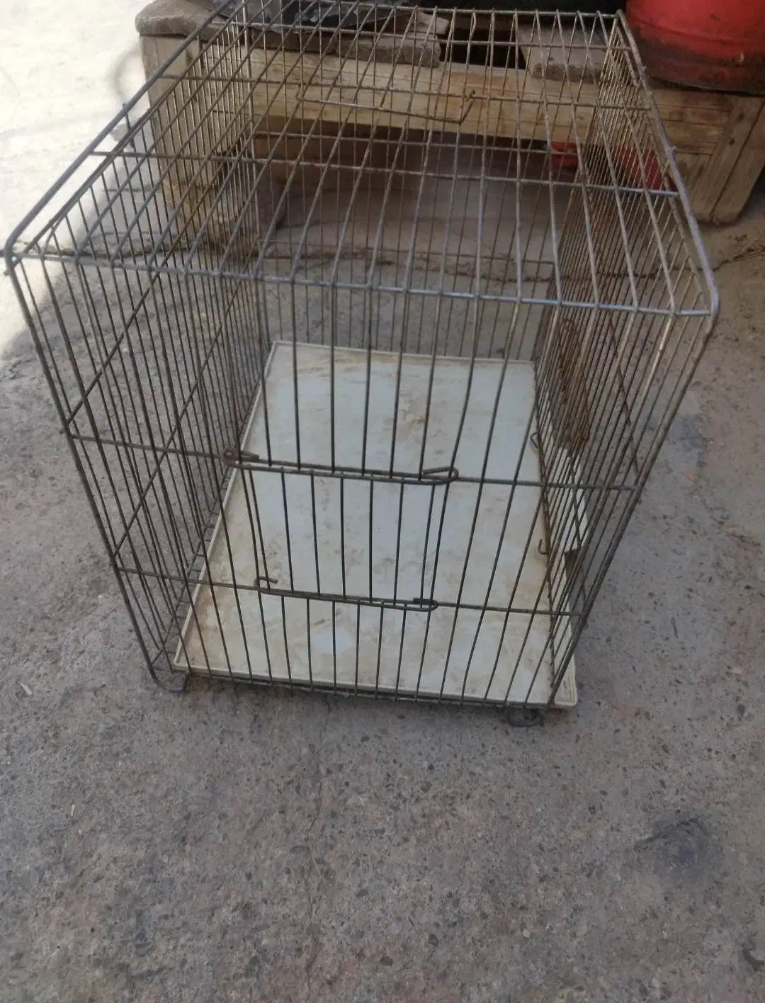 فروش قفس|لوازم جانبی حیوانات|سقز, |دیوار