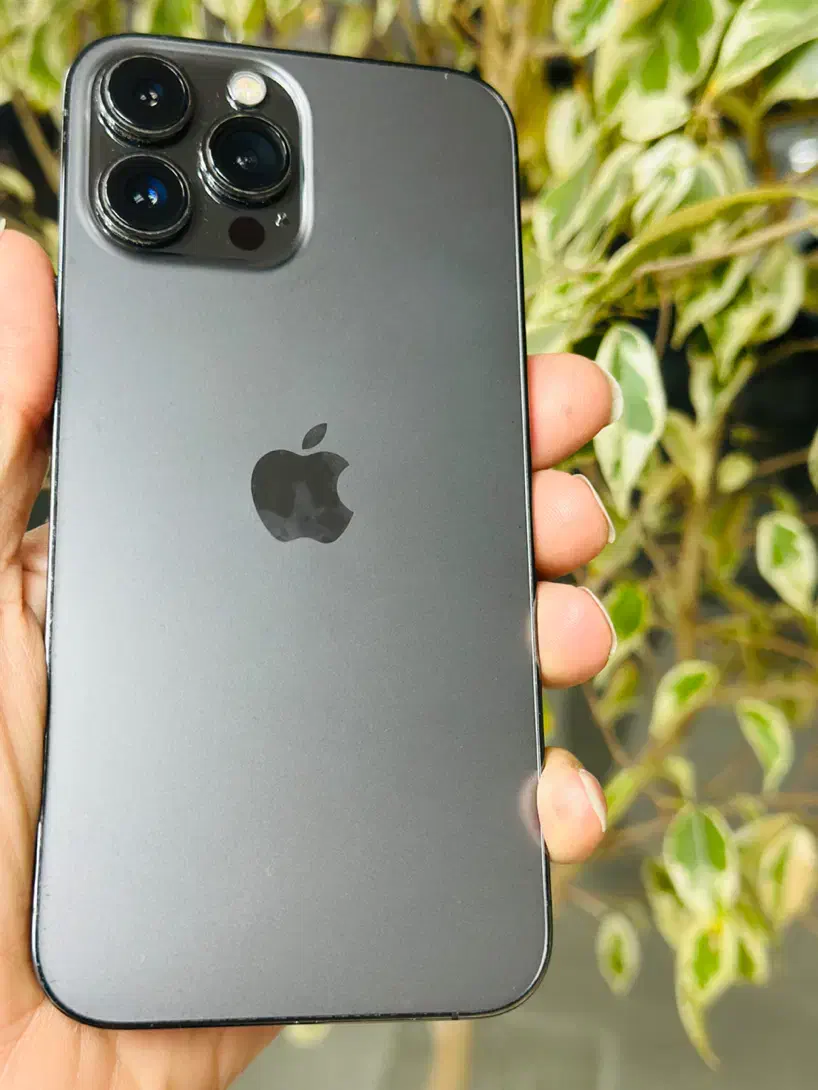 iPhone 13pro max|موبایل|رشت, پاستوریزه|دیوار