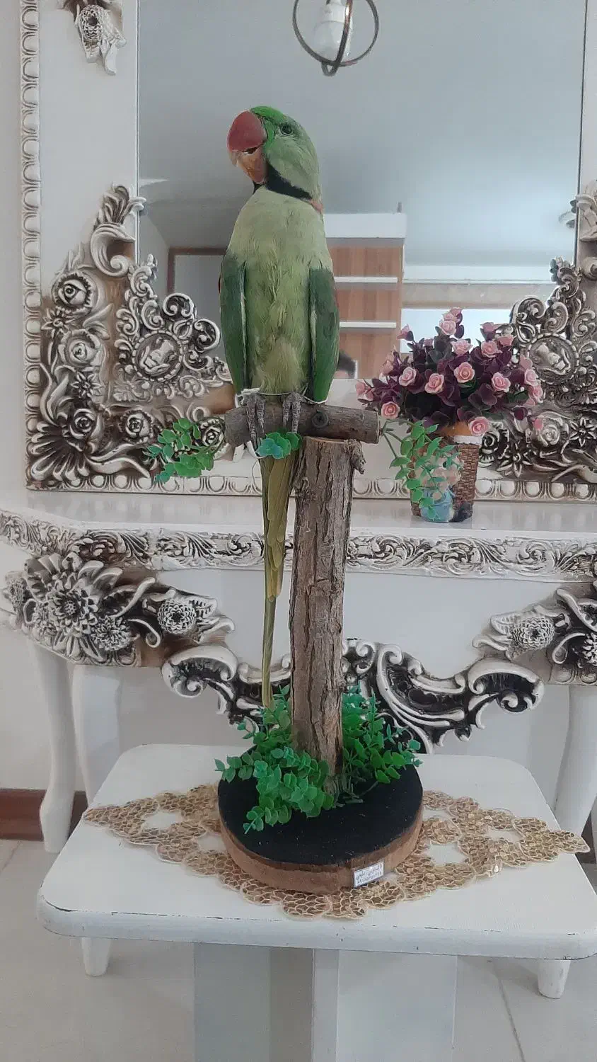 مجسمه|مجسمه، تندیس، ماکت|کرمانشاه, |دیوار