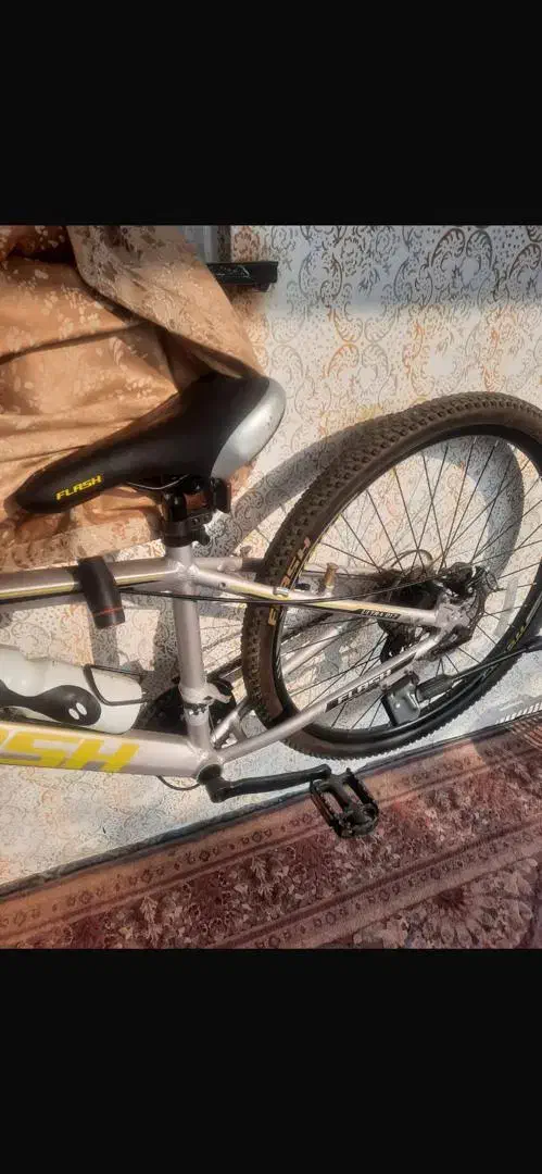 دوچرخه|دوچرخه، اسکیت، اسکوتر|رشت, شکار اسطلخ|دیوار