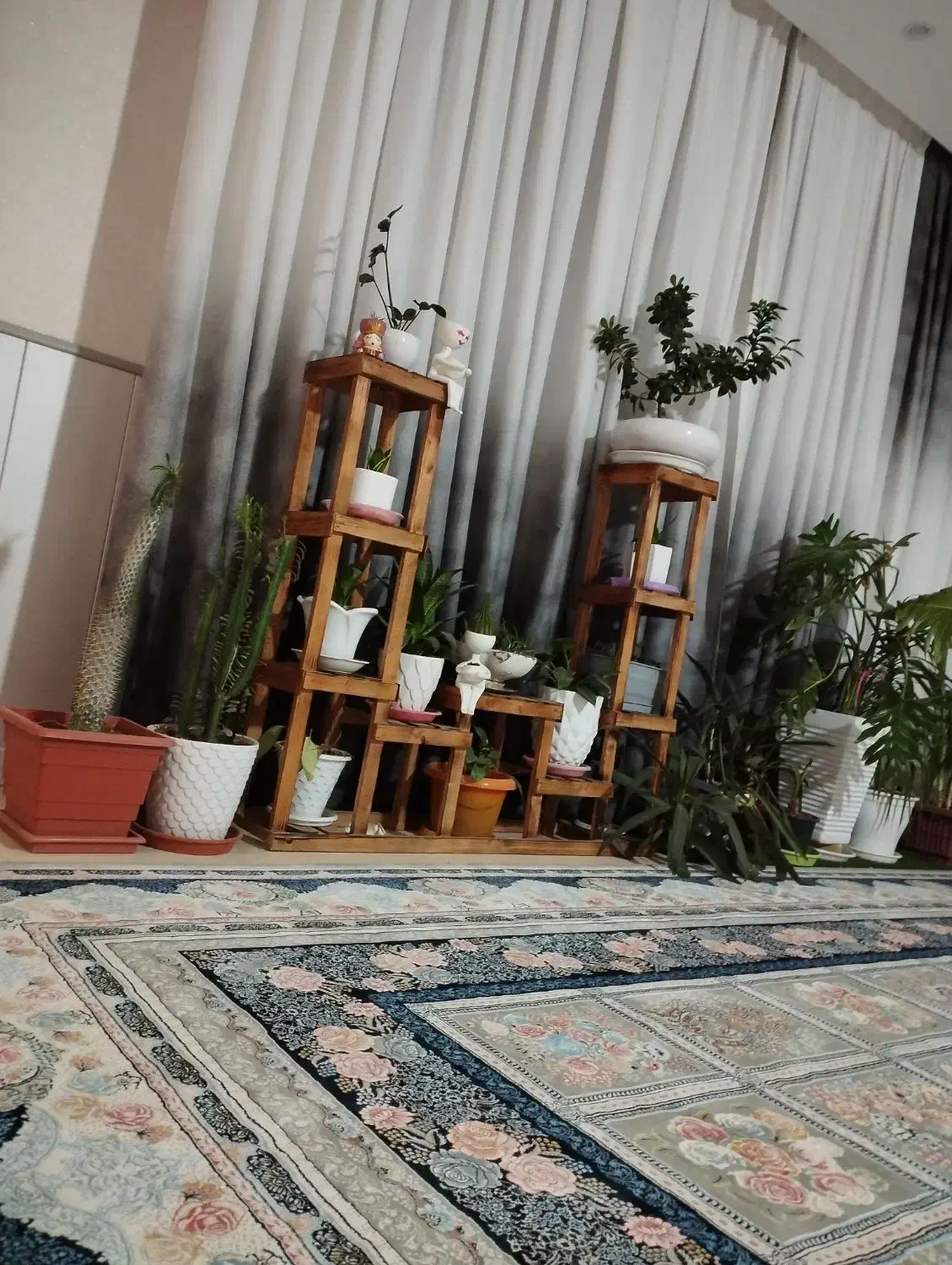 استنند وگل|گل و گیاه طبیعی|شاهین‌شهر, گرگاب|دیوار