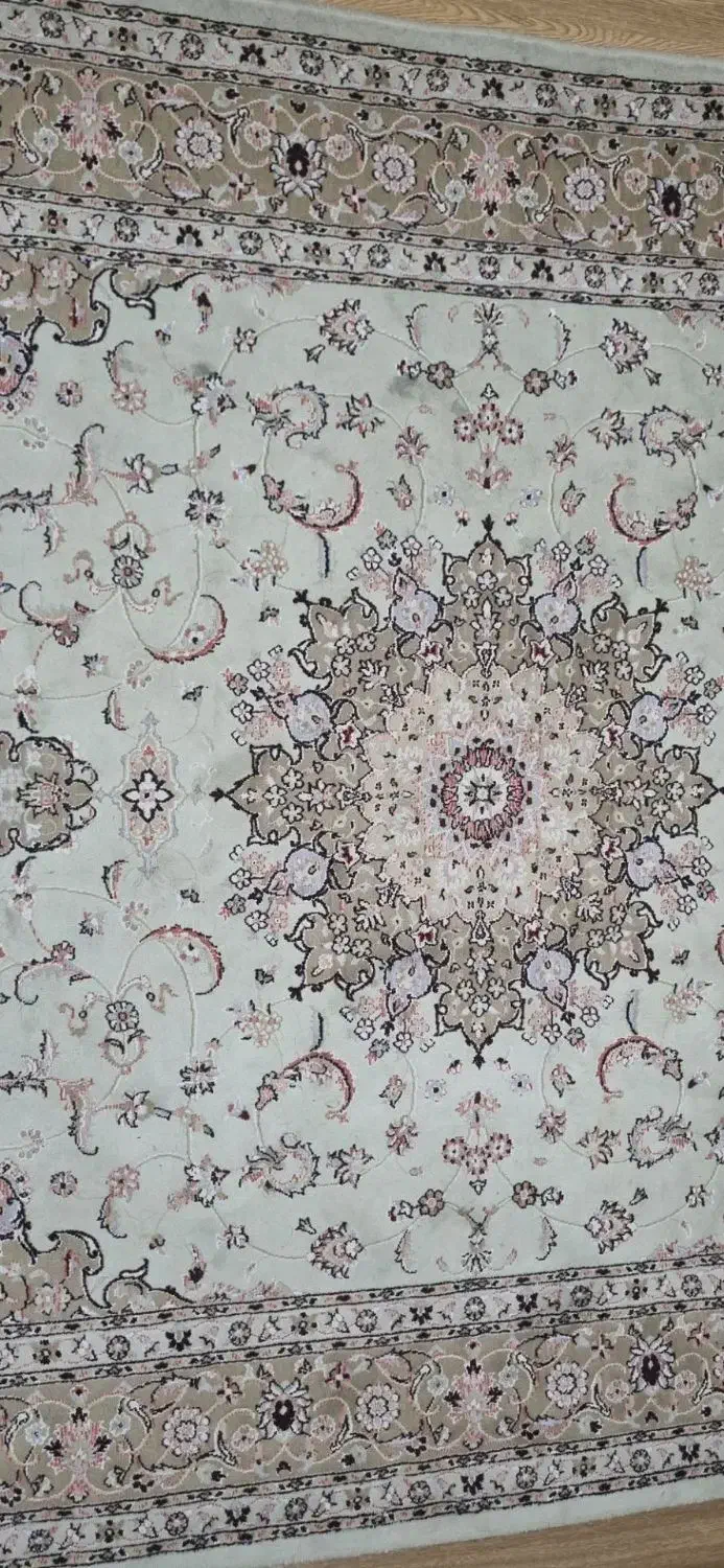 فرش ۶متری فرحی|فرش|رشت, پیرسرا|دیوار