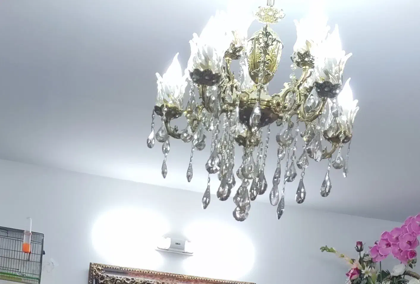 لوستر|لوستر و چراغ آویز|پرند, فاز ۶|دیوار