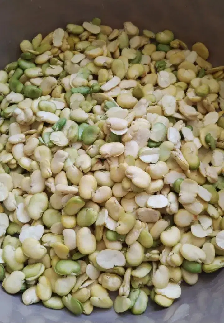 سبزیجات|خوردنی و آشامیدنی|نجفآباد, ریاضی|دیوار