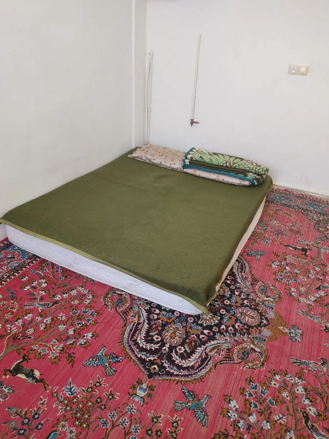 اجاره سوئیت و ویلا دربست پارکینگ دار|اجارهٔ کوتاه‌مدت آپارتمان و سوئیت|شیروان (خراسان), |دیوار