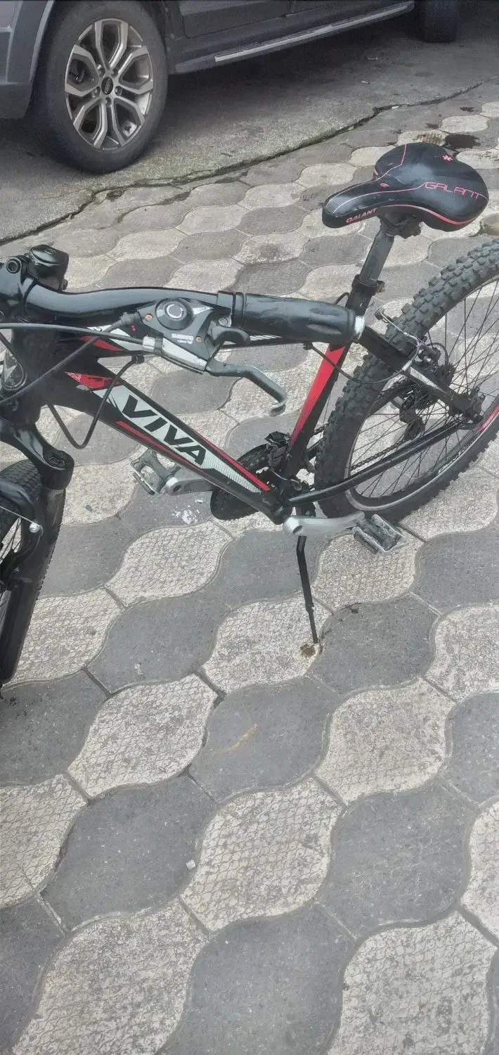 دوچرخه ۲۶ ویوا اصل|دوچرخه، اسکیت، اسکوتر|بندر انزلی, پردیس|دیوار