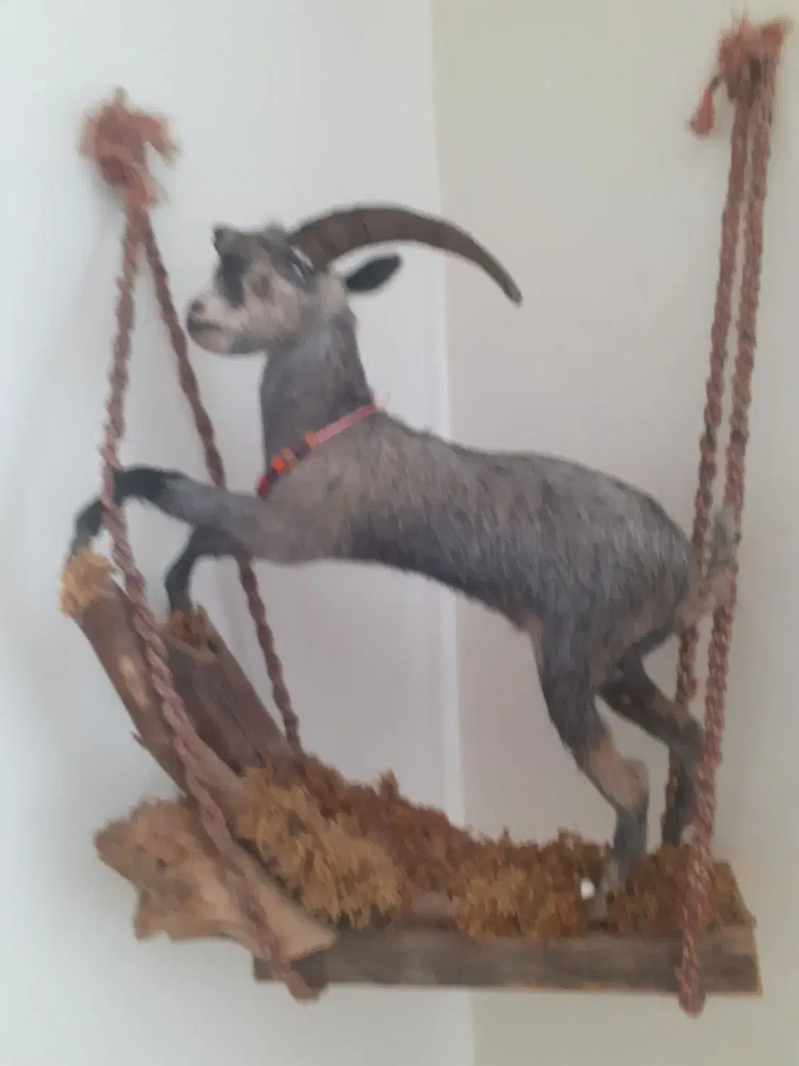 مجسمه خاص|مجسمه، تندیس، ماکت|سبزوار, ولیعصر (نجار آباد)|دیوار