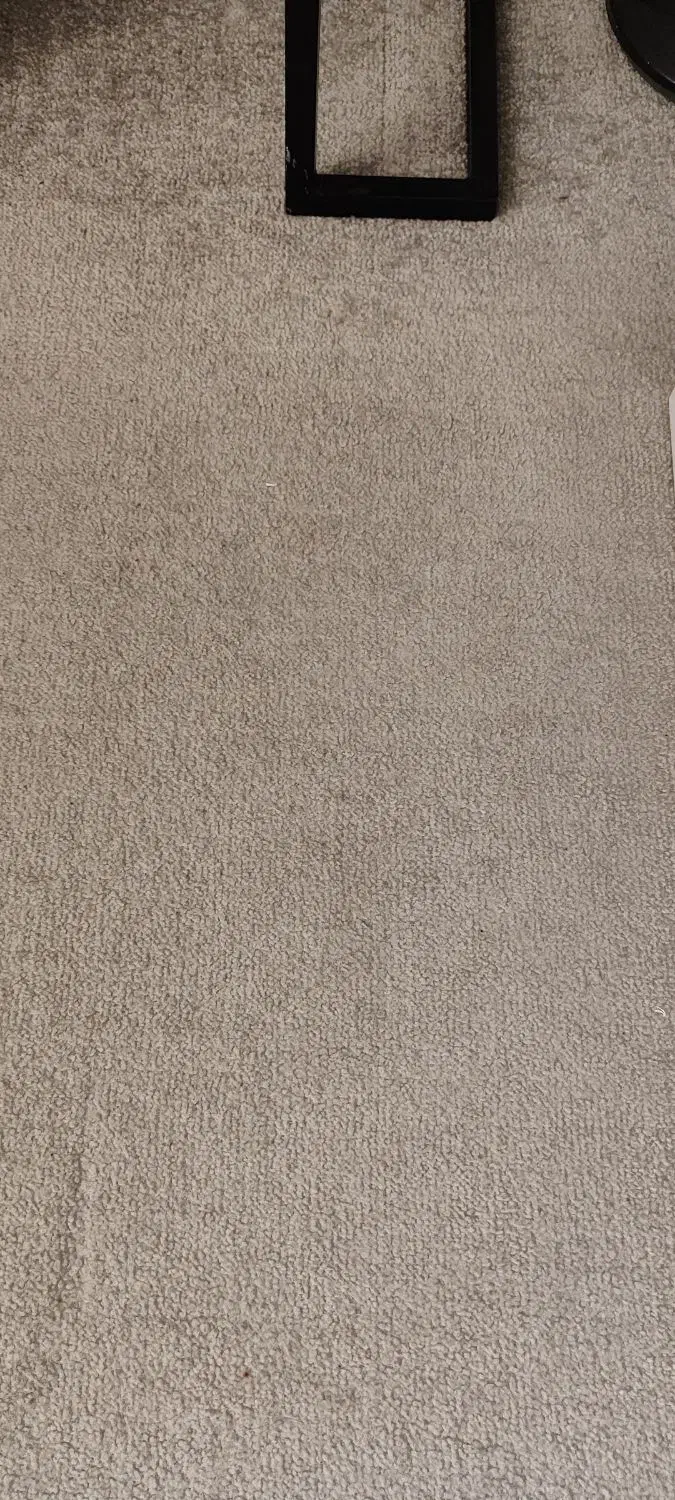 پالاز موکت پرز بلند|موکت|همدان, |دیوار