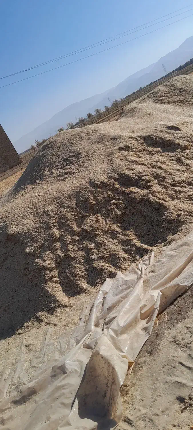 خوراک دام،کاه گندم یونجه|حیوانات مزرعه|شیروان (لرستان), |دیوار