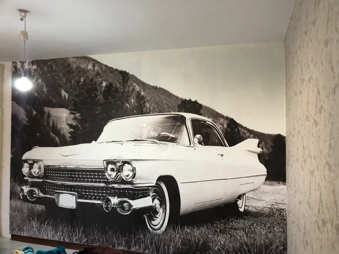 نصاب کاغذدیواری ،نقاشی سقف تمام مناطق|خدمات پیشه و مهارت|تهران, امام زاده حسن|دیوار