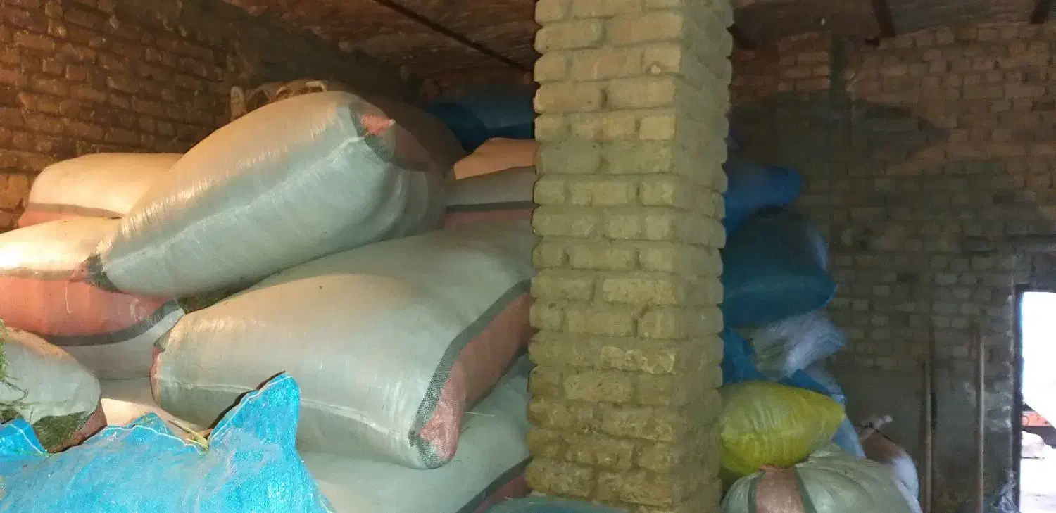 سلام پرس شبدر و یونجه|خدمات باغبانی و درختکاری|بروجرد, |دیوار