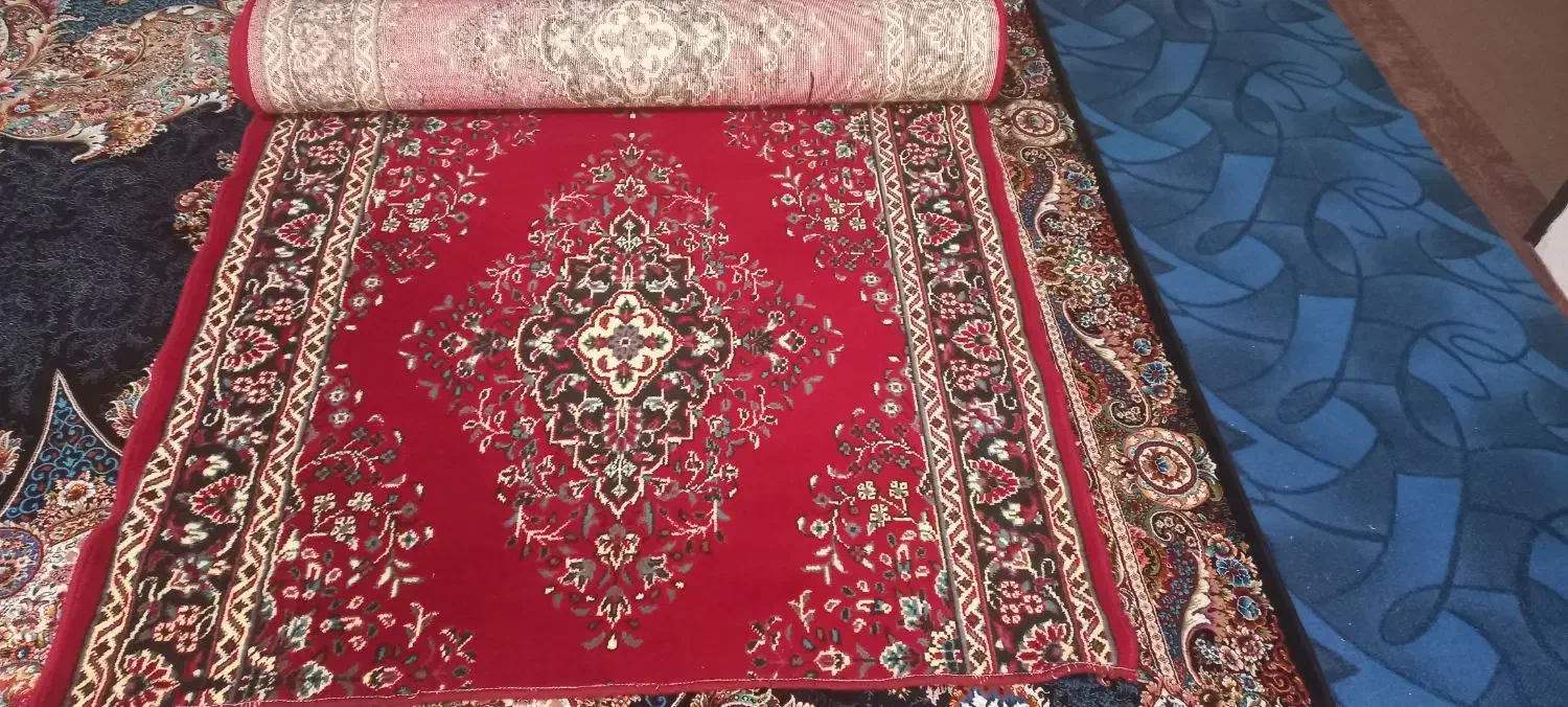 قالیچه در حد نو|فرش|شیراز, کوشک میدان|دیوار