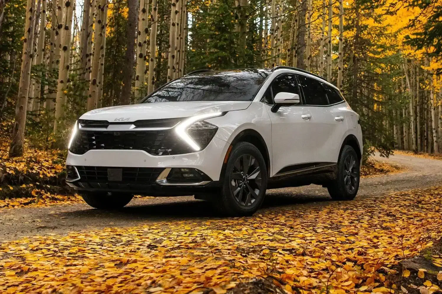 اسپورتیج ۲۰۲۵|خودرو سواری و وانت|شیراز, خلدبرین|دیوار