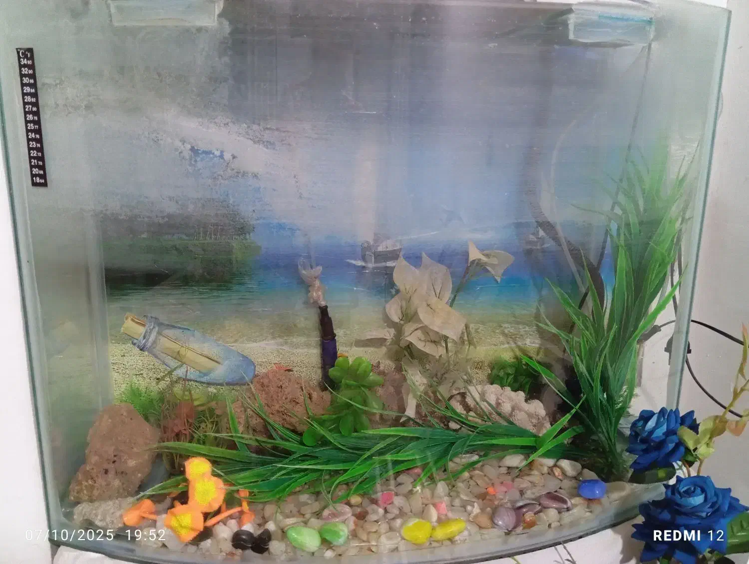 اکواریوم شیشه خم|ماهی|شهریار, شهریار|دیوار