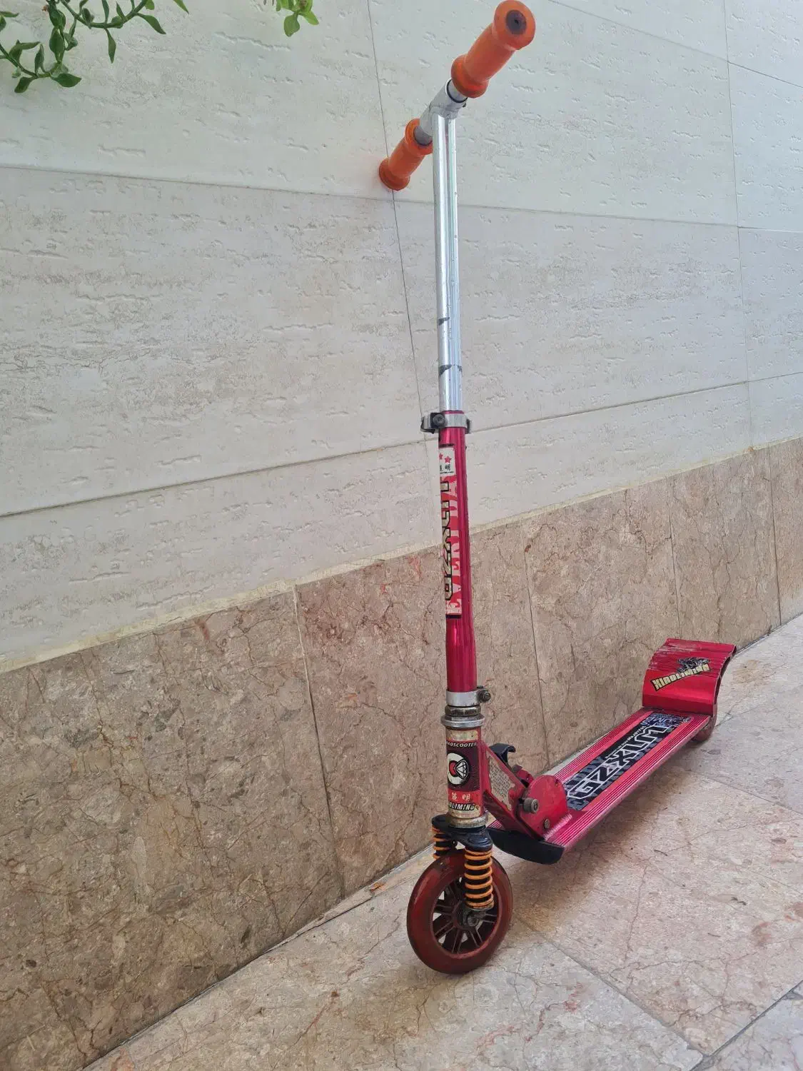 اسکوتر|دوچرخه، اسکیت، اسکوتر|گنبد کاووس, |دیوار