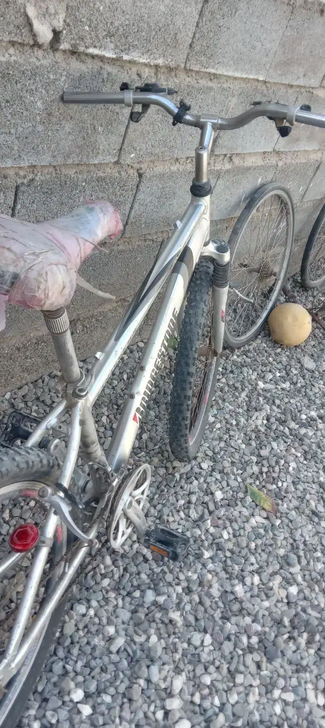 باغملک|دوچرخه، اسکیت، اسکوتر|باغ ملک, |دیوار