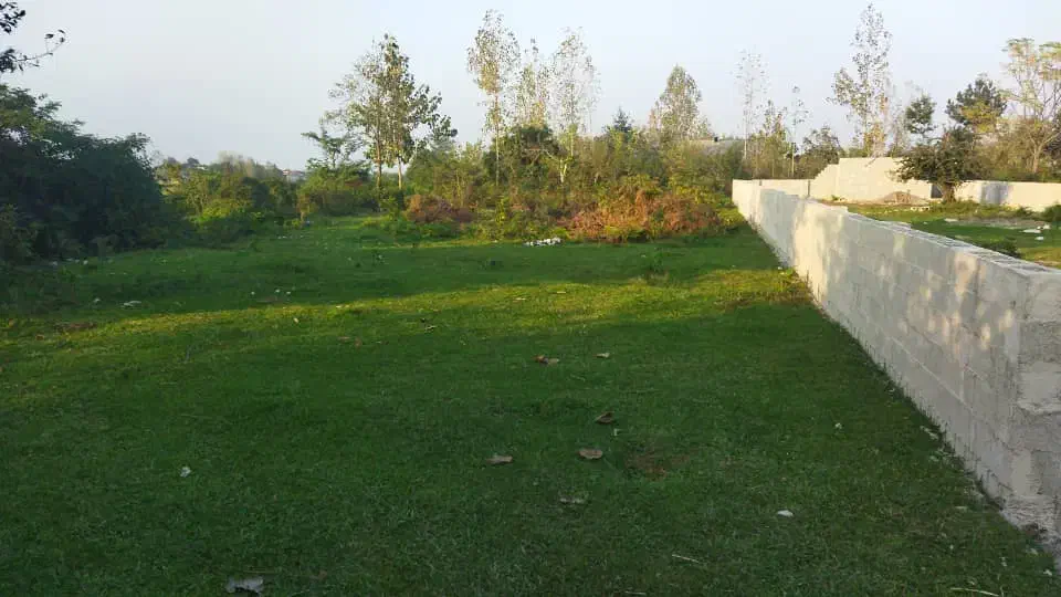 معاوضه زمین جاده ماسوله با خونه|فروش زمین و ملک کلنگی|ماکلوان, |دیوار