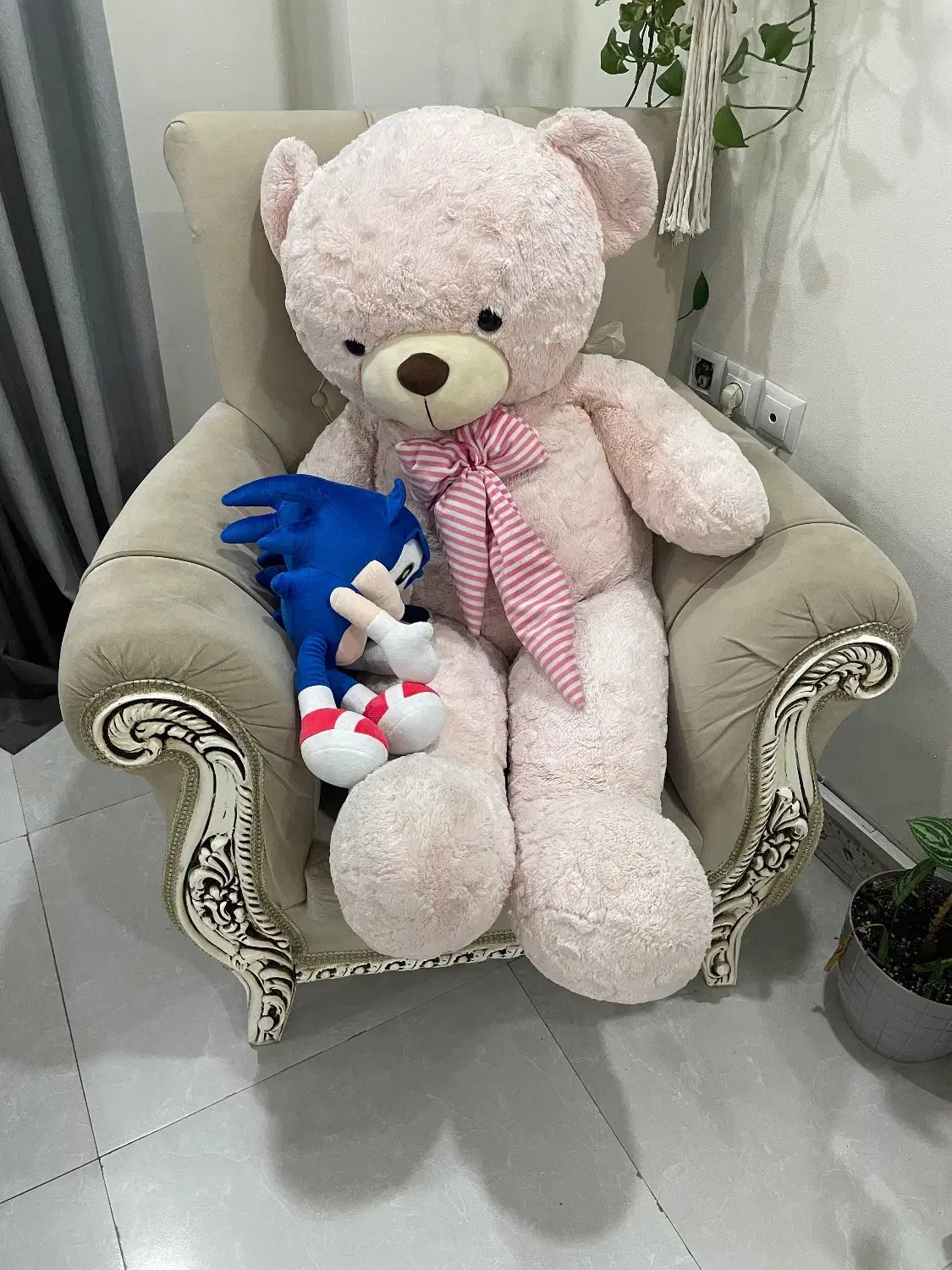 مبل 8 نفره با شزلون|مبلمان خانگی و میز عسلی|رشت, پل تالشان|دیوار