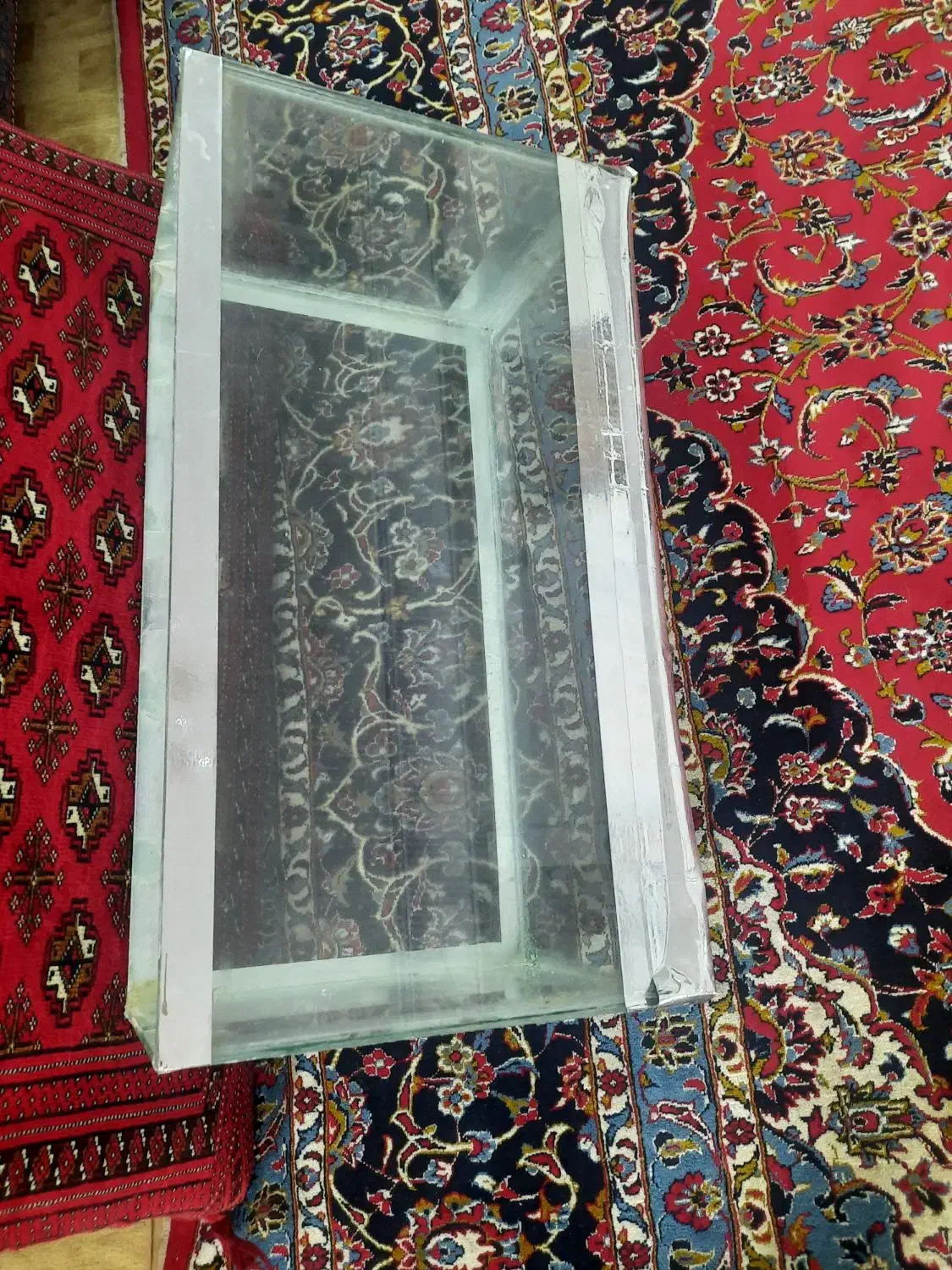 آکواریوم|ماهی|مشهد, سعد آباد|دیوار