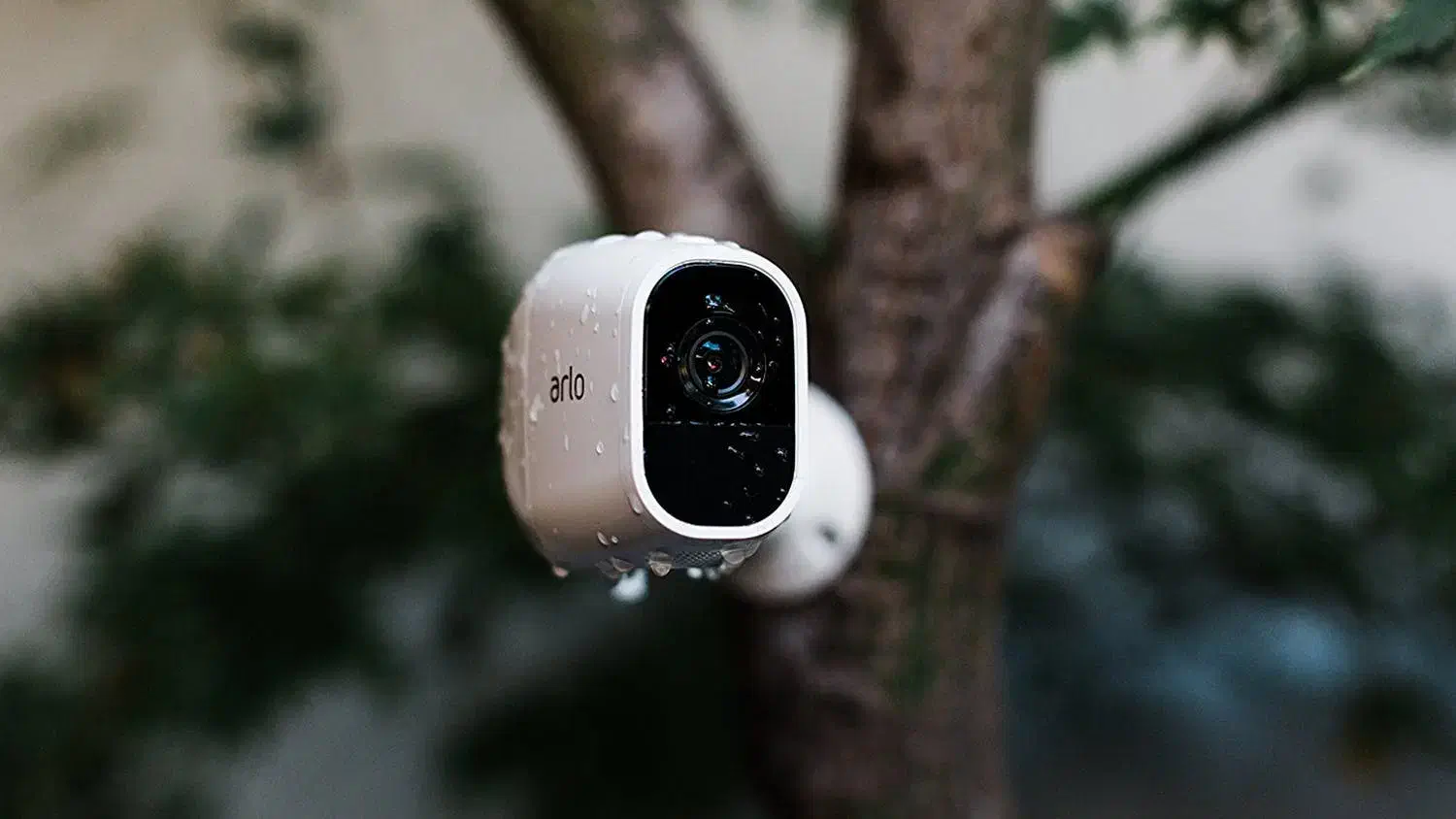 فروش و نصب دوربین مداربسته|دوربین مداربسته|رشت, پیرکلاچای|دیوار