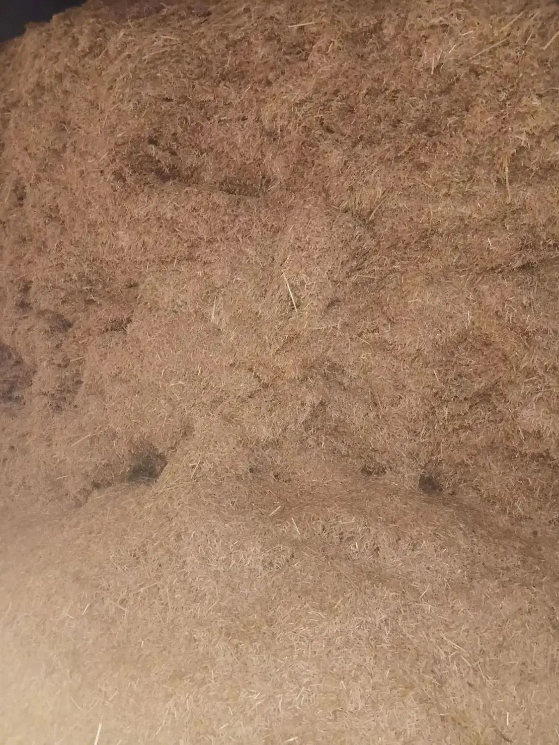 کاه کوب|لوازم جانبی حیوانات|فیروزه, |دیوار