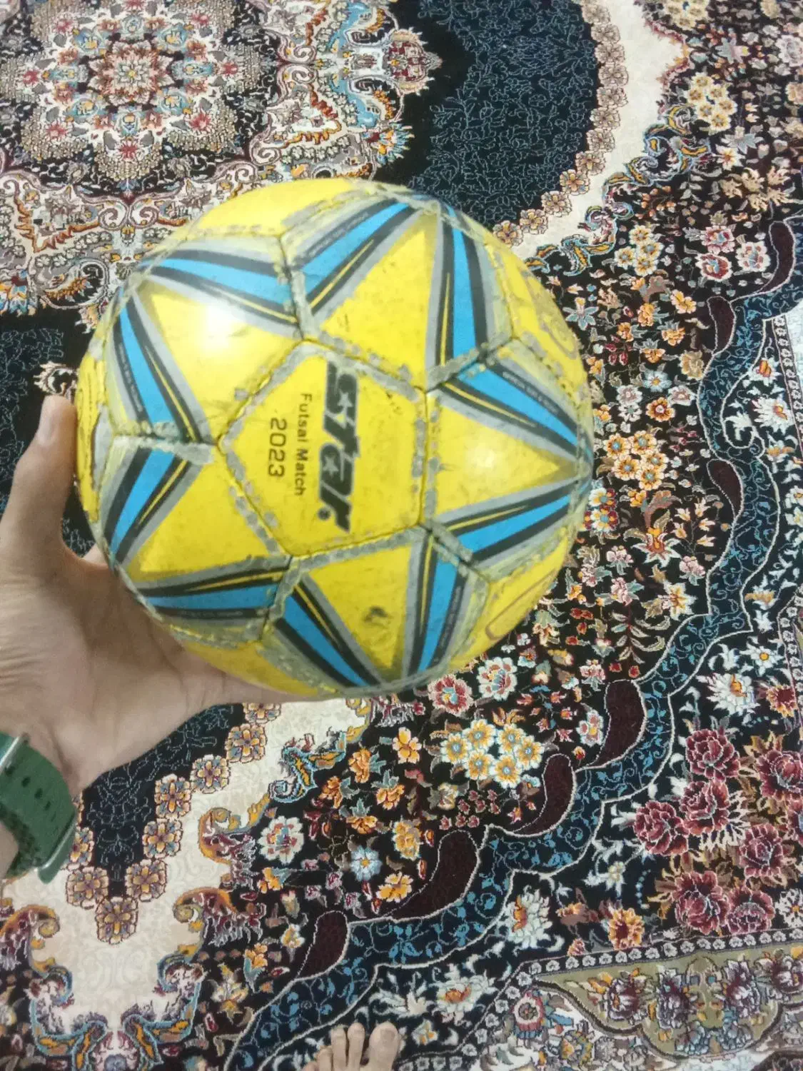 توپ سالن استار|ورزشهای توپی|بیرجند, |دیوار