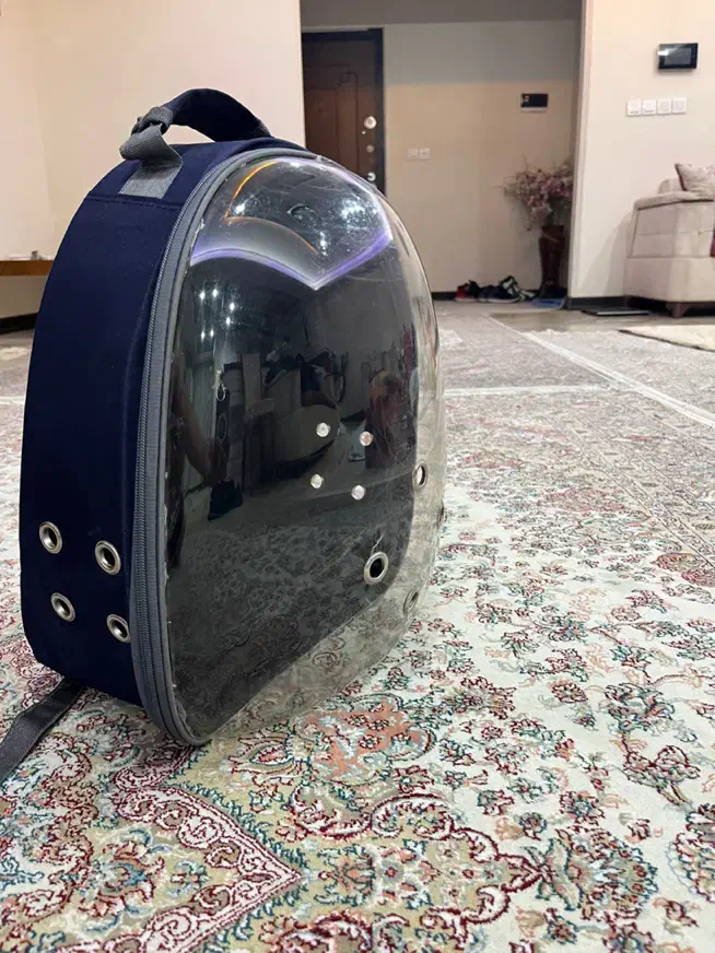 کیف حیوانات گربه،سگ|لوازم جانبی حیوانات|تهران, گرگان|دیوار