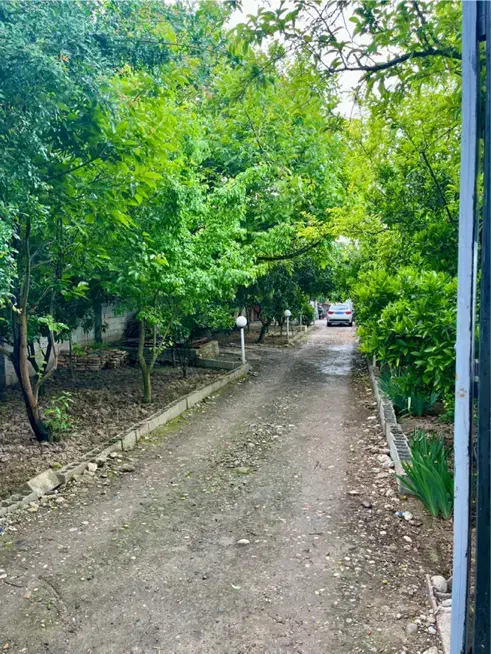 اجاره خانه باغی و دلباز جاده اصلی|اجارهٔ خانه و ویلا|قائم‌شهر, |دیوار