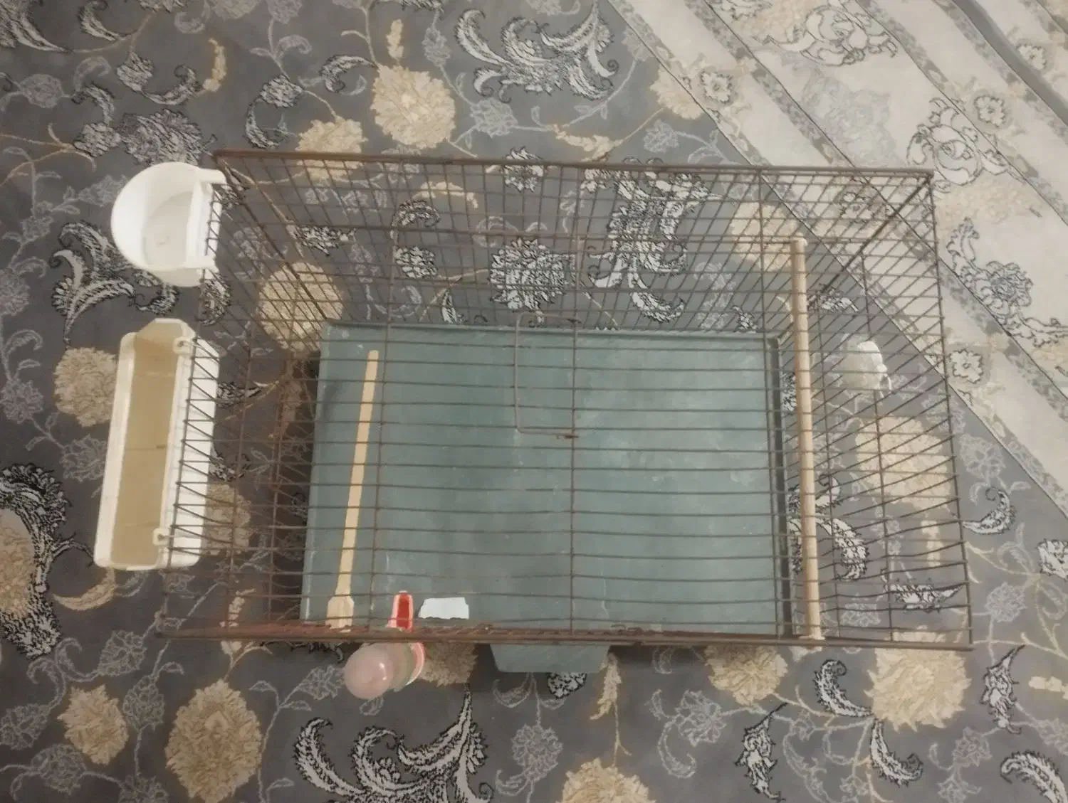 قفس پرنده|لوازم جانبی حیوانات|بهارستان, |دیوار