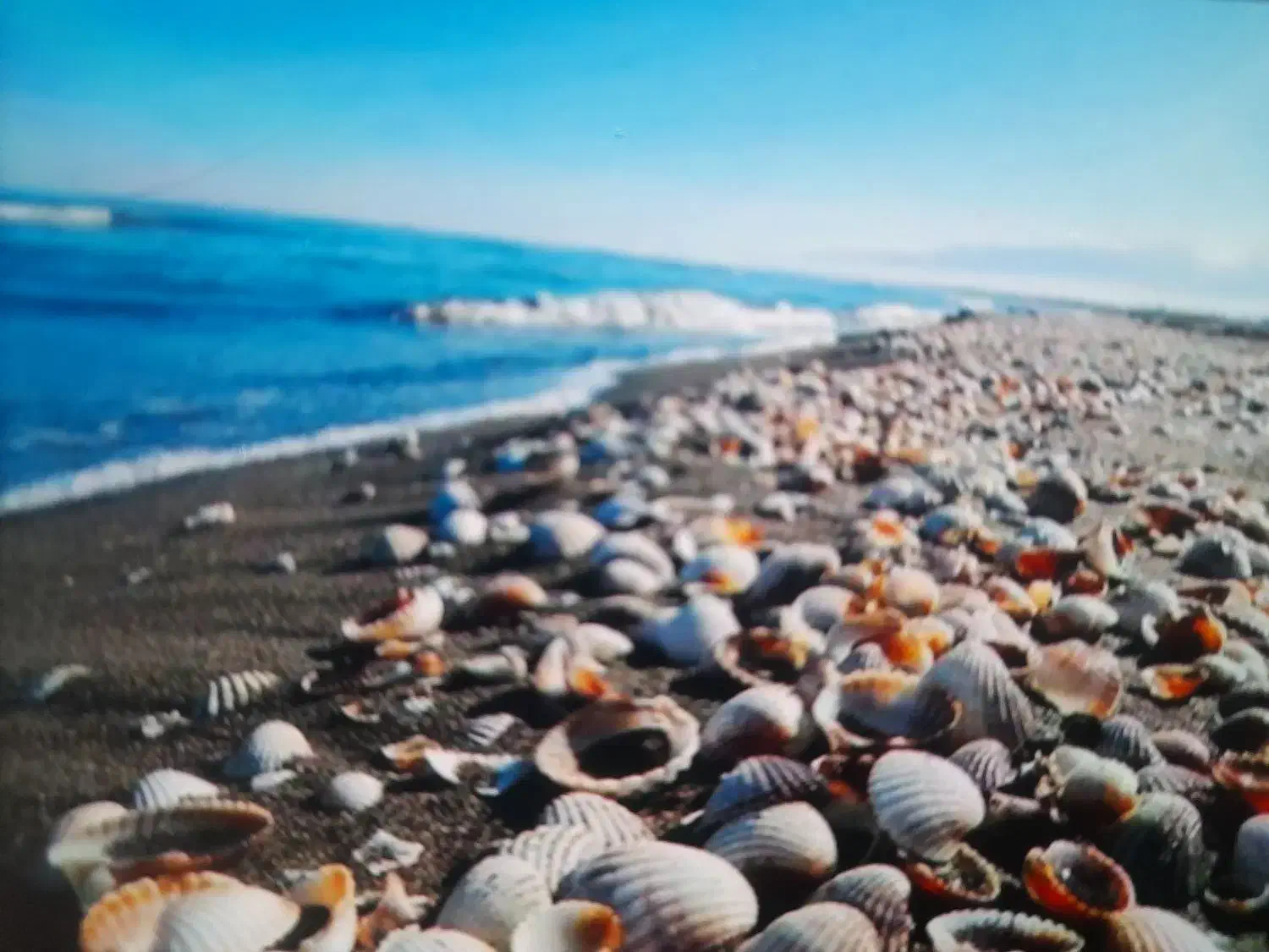 گردشگری|تور و چارتر|درگهان, |دیوار