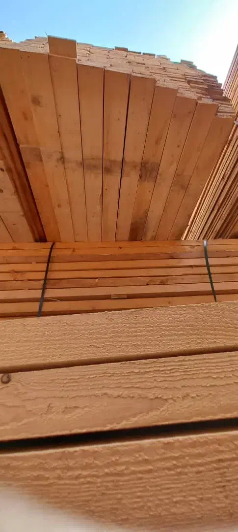 چوب نراد یولکاوساسنا روسی ابعاد واقعی لمبه پلکوبی|مصالح و تجهیزات ساختمان|رشت, شهرک صبا|دیوار