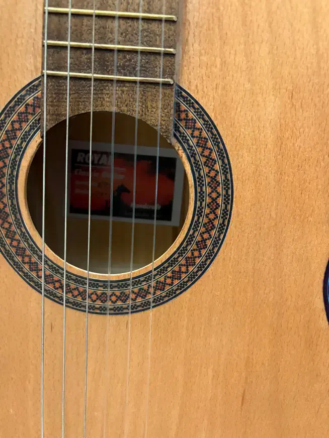 گیتار کلاسیک رویال|گیتار، بیس، امپلیفایر|تهران, چیذر|دیوار