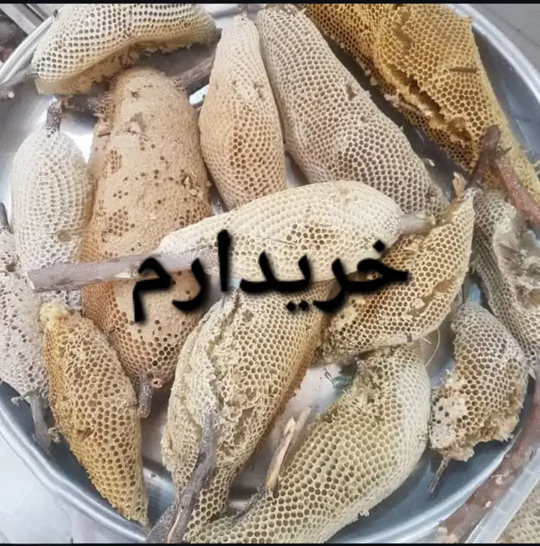عسل میناب تک و عمده|خوردنی و آشامیدنی|میناب, |دیوار
