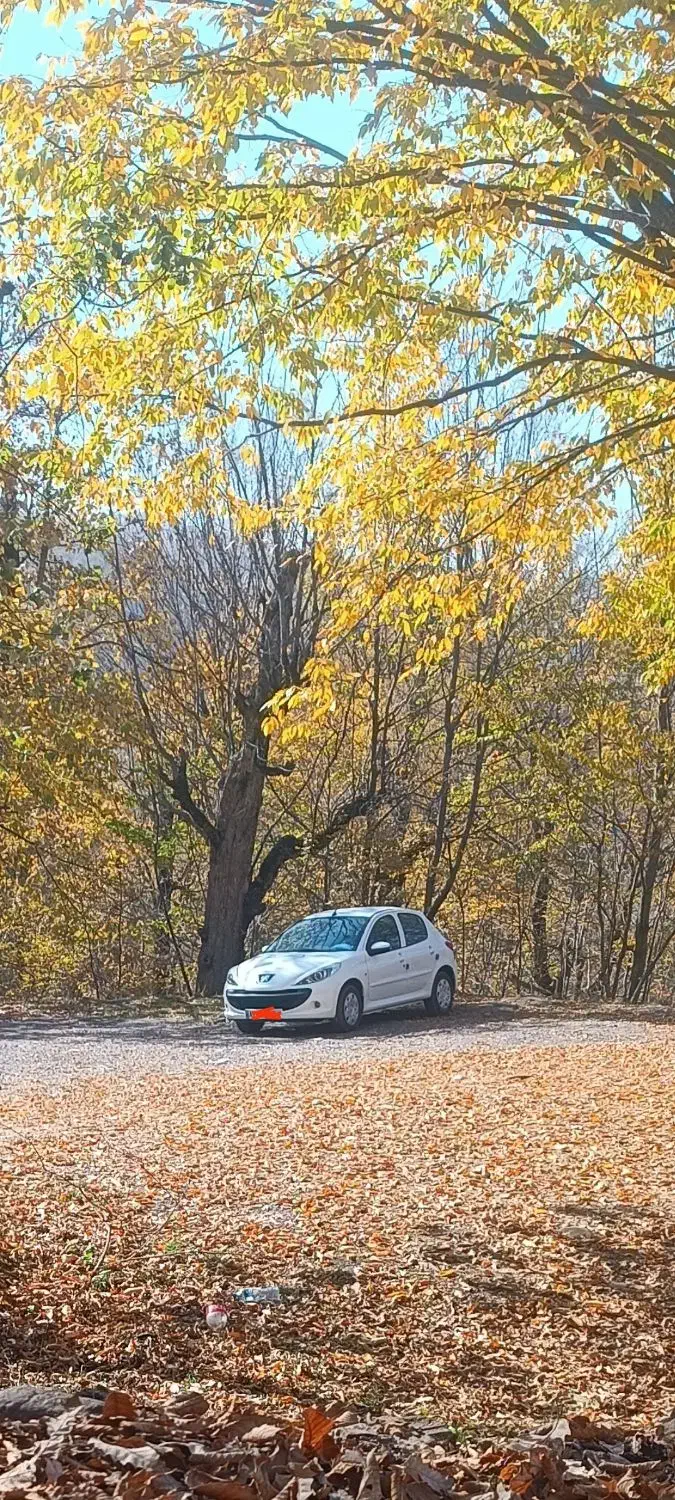 ۲۰۷ مدل ۱۴۰۴|خودرو سواری و وانت|گالیکش, |دیوار